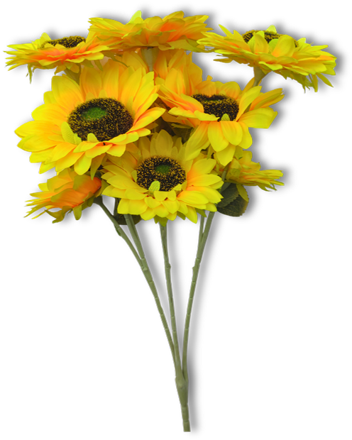 Girasol 9 ramos Ref FPD09