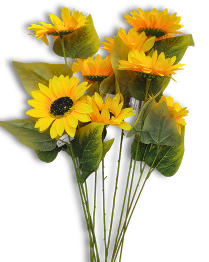 Girasol 1 ramo Ref FPD12