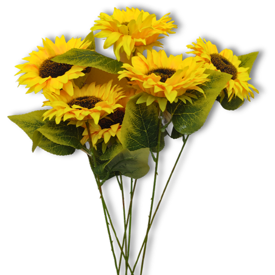 Girasol 1 ramo Ref FPD13
